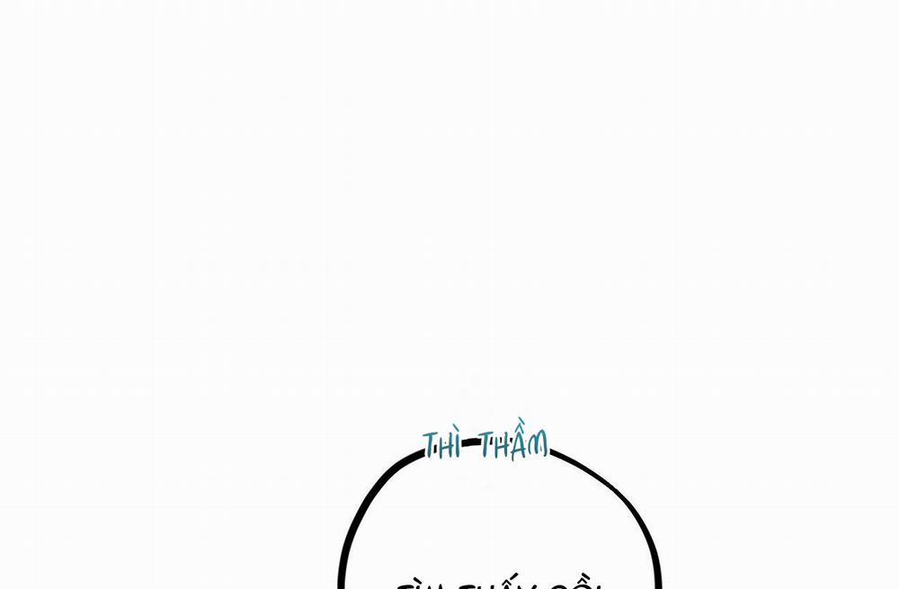 Đàn Thỏ Của Habibi 39 trang 147