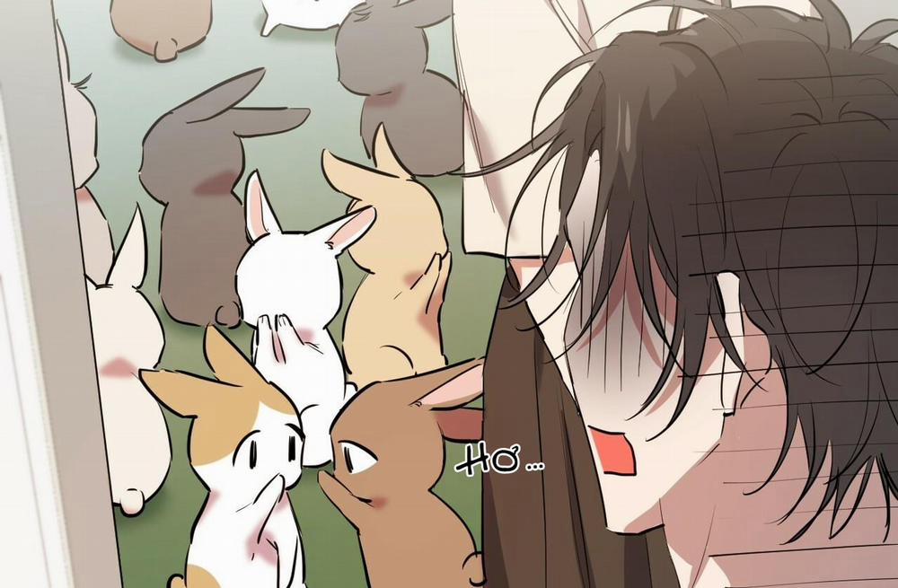 Đàn Thỏ Của Habibi 39 trang 149