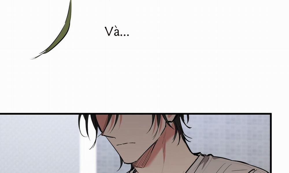 Đàn Thỏ Của Habibi 39 trang 15