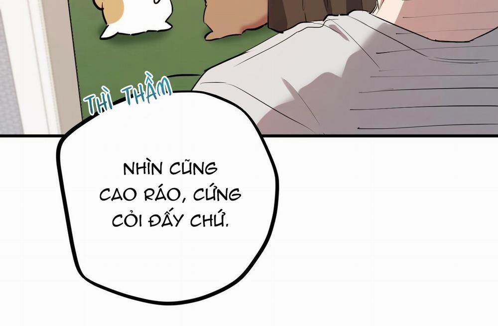 Đàn Thỏ Của Habibi 39 trang 150