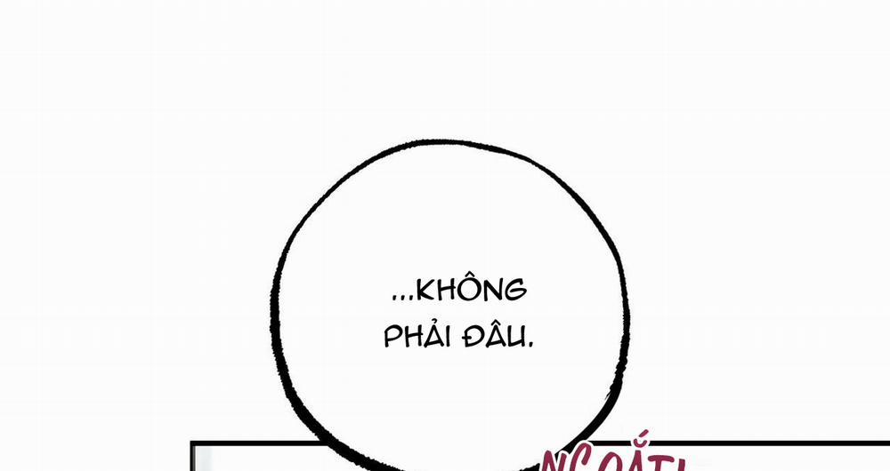 Đàn Thỏ Của Habibi 39 trang 152