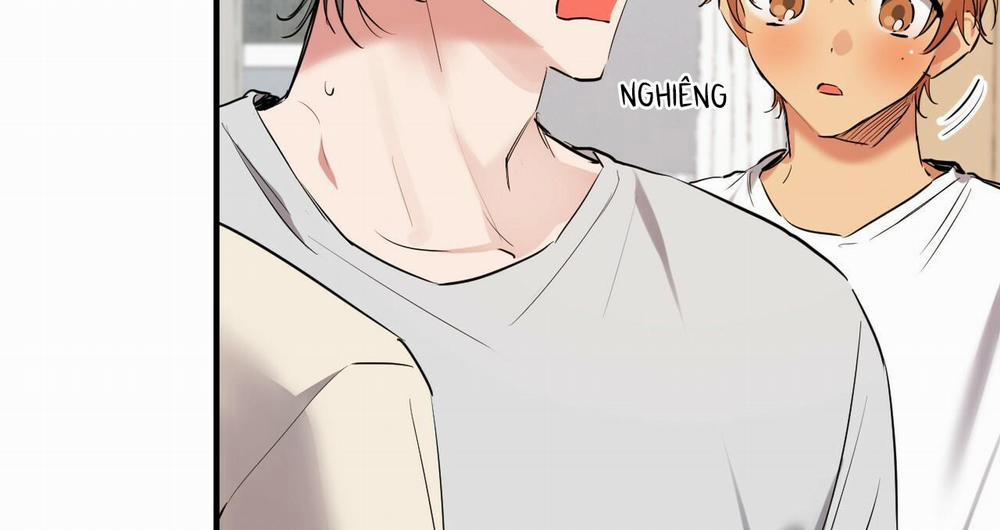 Đàn Thỏ Của Habibi 39 trang 154