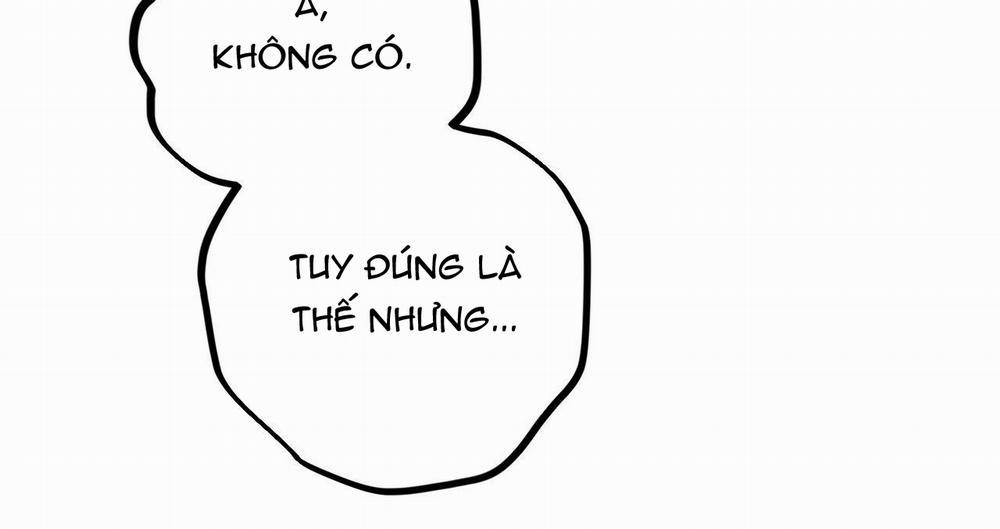 Đàn Thỏ Của Habibi 39 trang 164