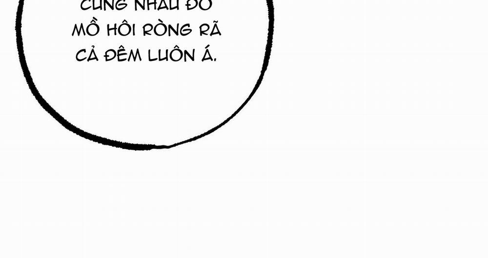 Đàn Thỏ Của Habibi 39 trang 170