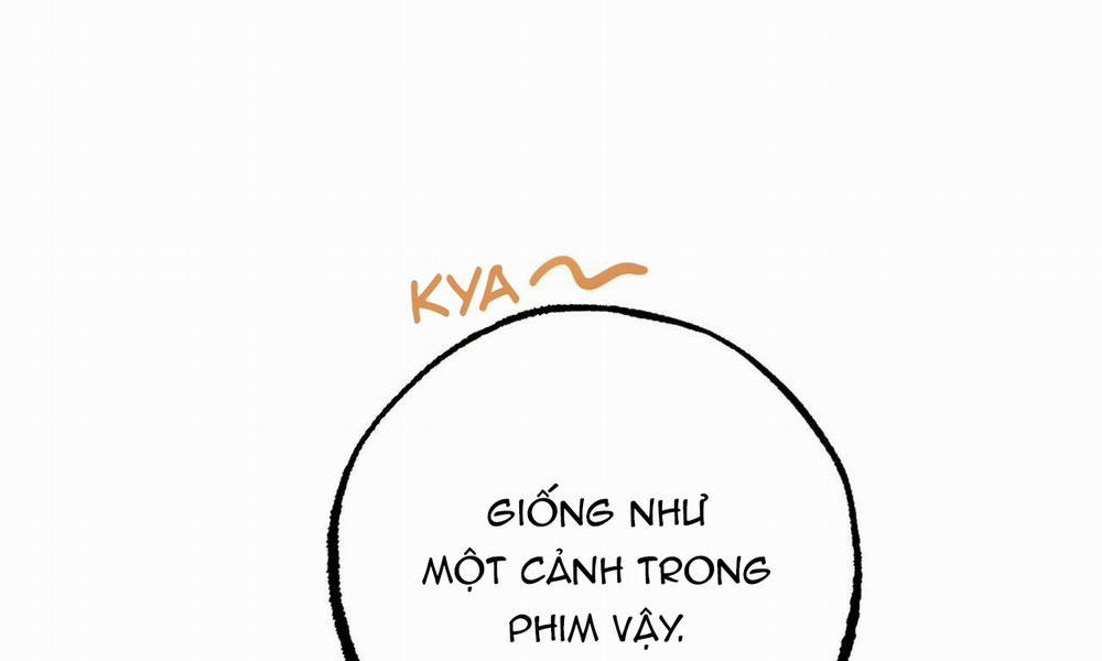 Đàn Thỏ Của Habibi 39 trang 178