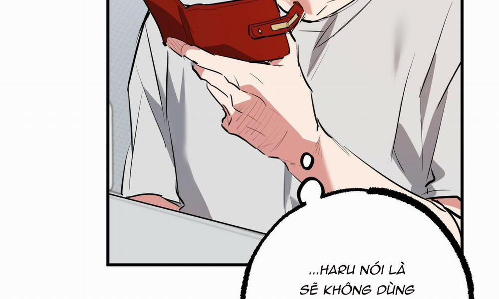 Đàn Thỏ Của Habibi 39 trang 23