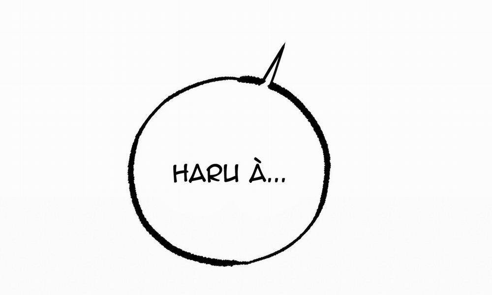 Đàn Thỏ Của Habibi 39 trang 252