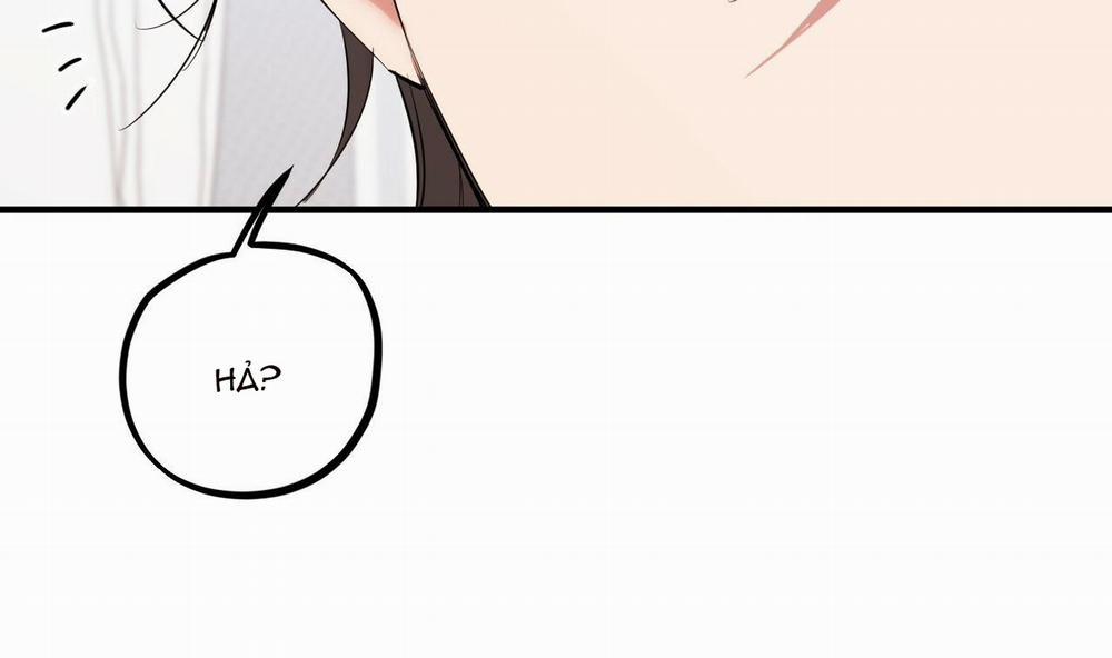 Đàn Thỏ Của Habibi 39 trang 26