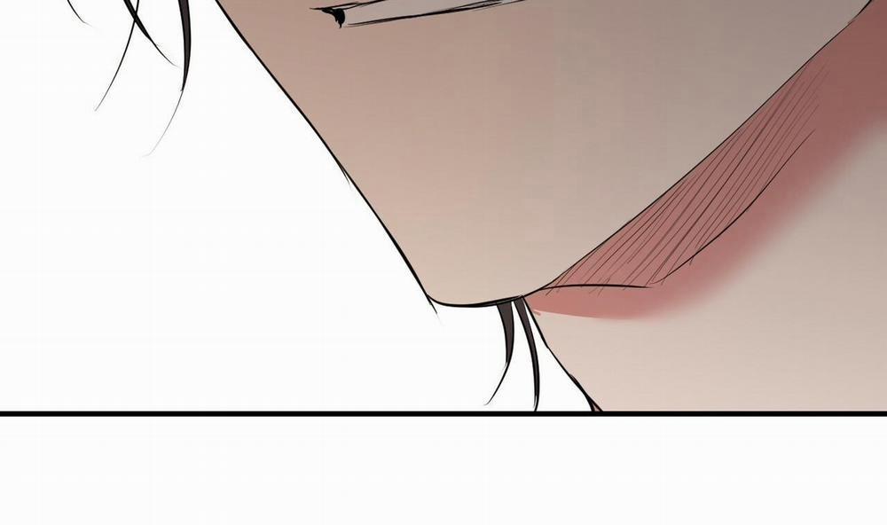 Đàn Thỏ Của Habibi 39 trang 35