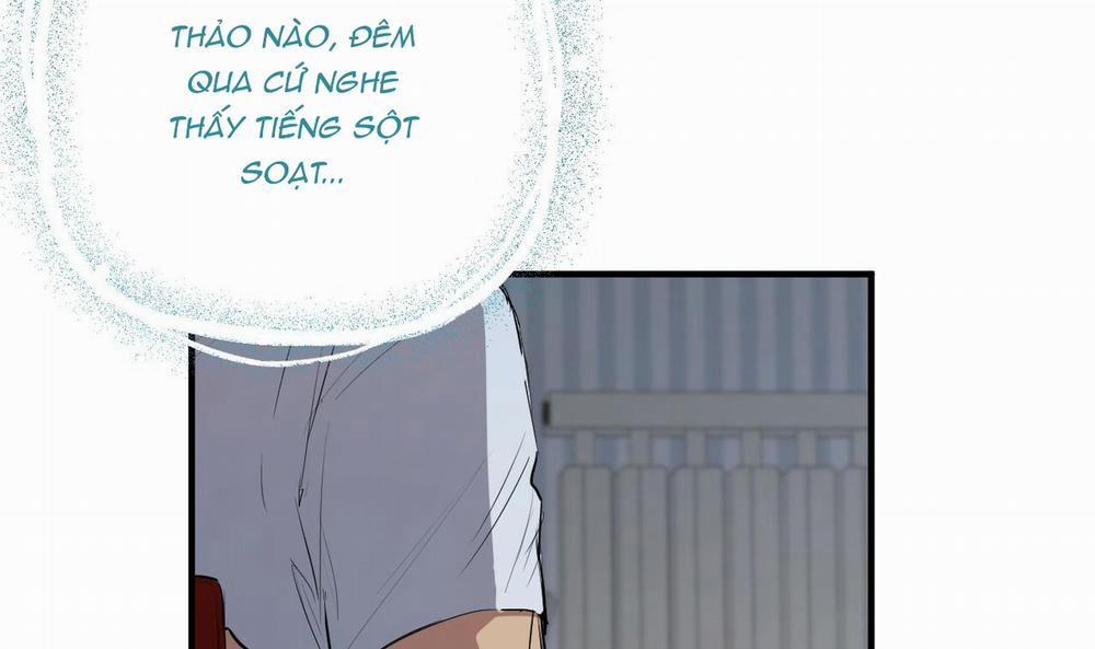 Đàn Thỏ Của Habibi 39 trang 40