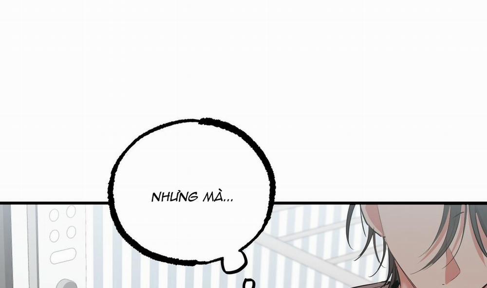 Đàn Thỏ Của Habibi 39 trang 43