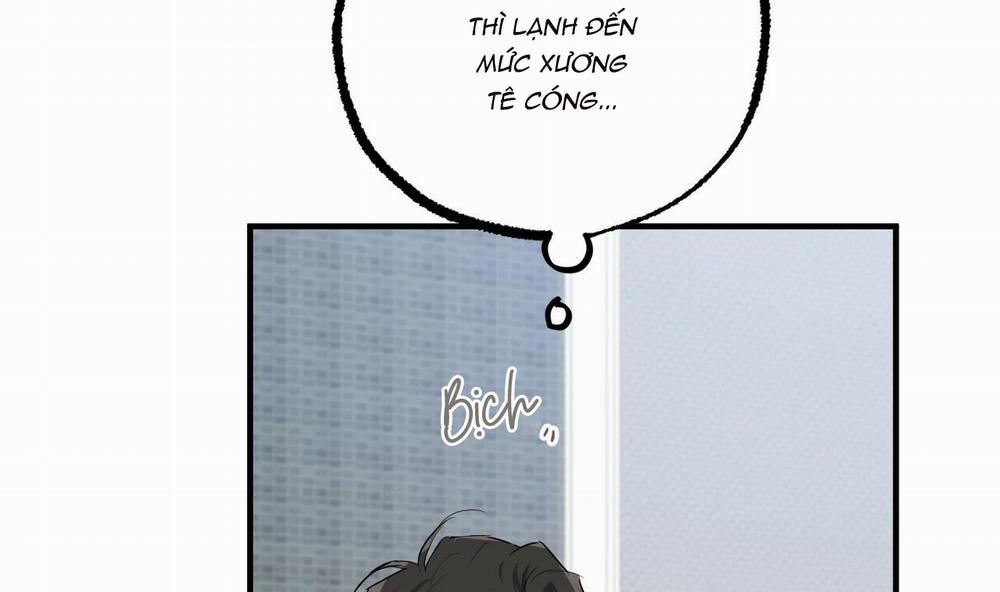 Đàn Thỏ Của Habibi 39 trang 52