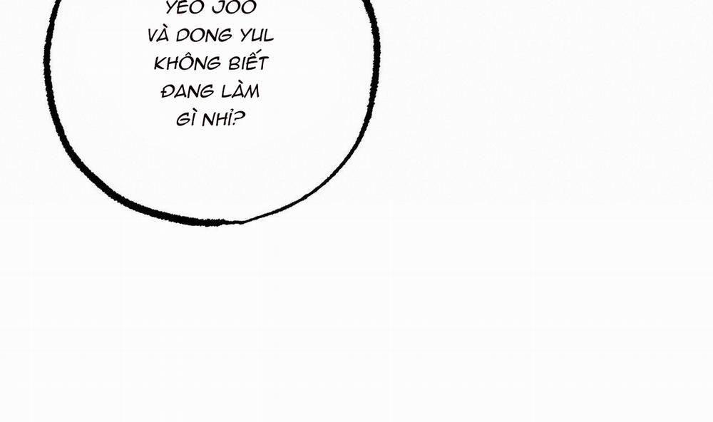 Đàn Thỏ Của Habibi 39 trang 64