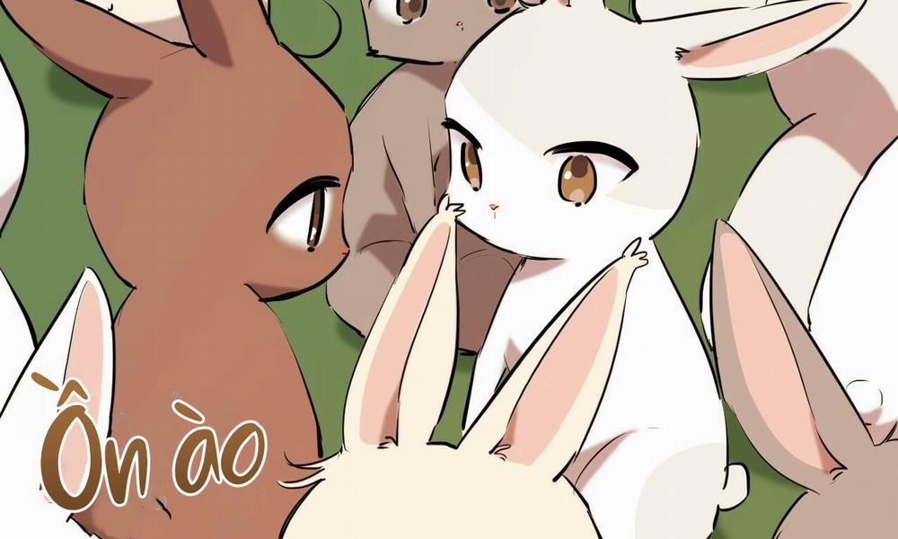 Đàn Thỏ Của Habibi 39 trang 80