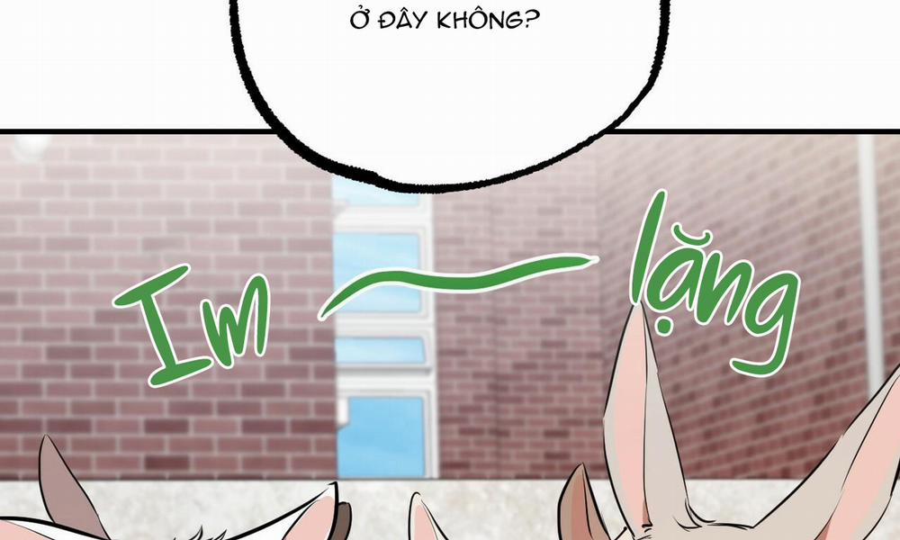 Đàn Thỏ Của Habibi 39 trang 99