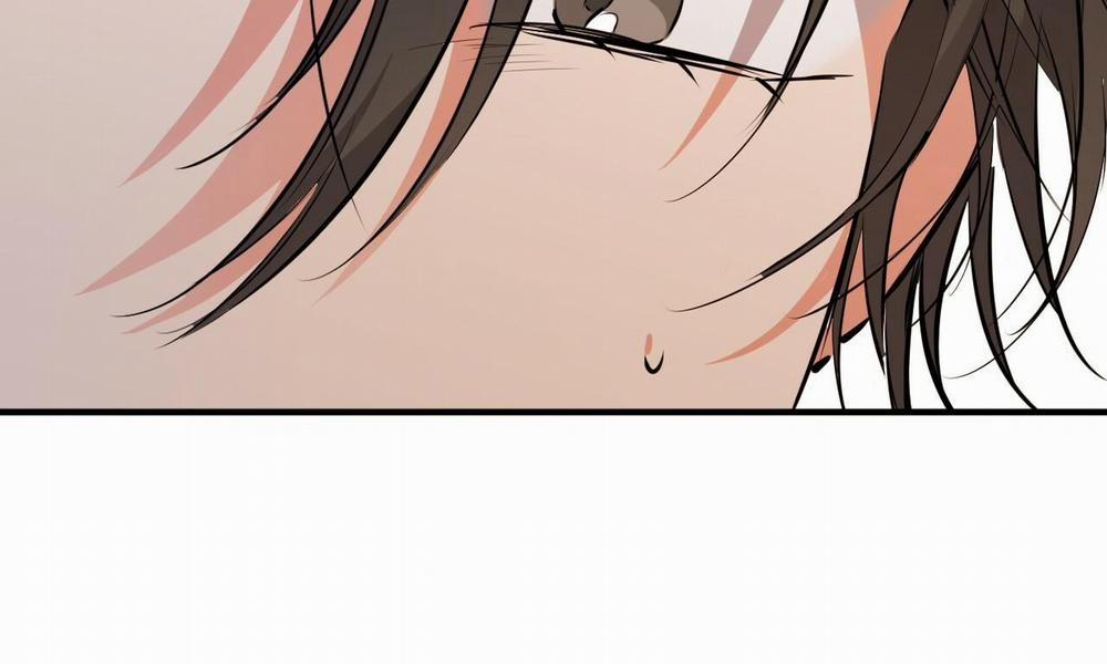 Đàn Thỏ Của Habibi 40 trang 14