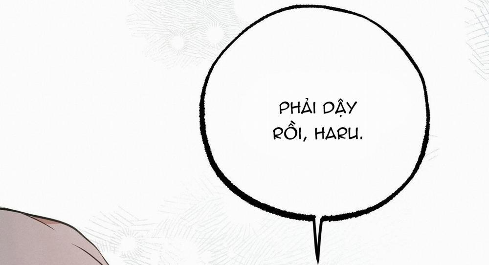 Đàn Thỏ Của Habibi 40 trang 166