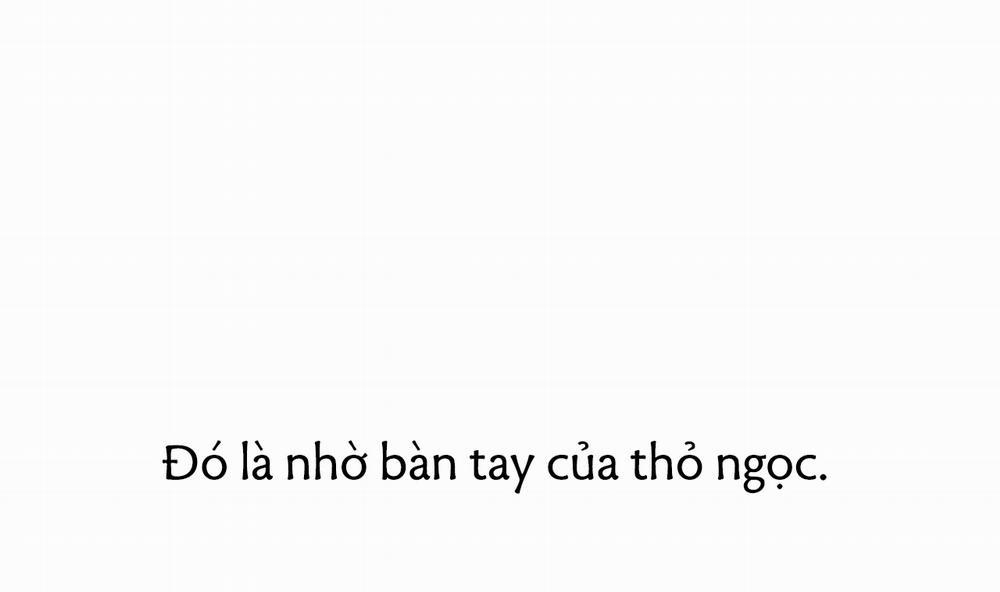 Đàn Thỏ Của Habibi 40 trang 222