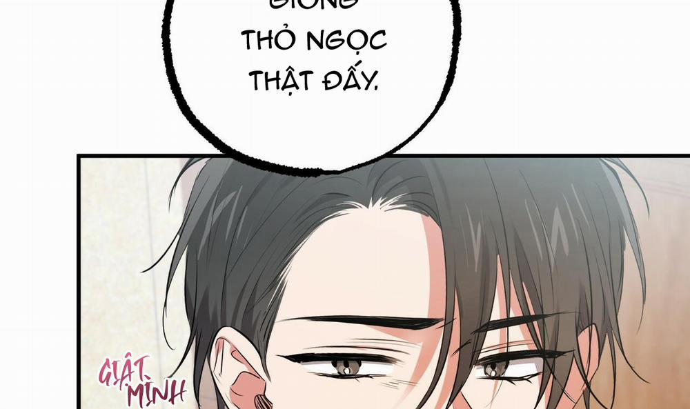 Đàn Thỏ Của Habibi 40 trang 44