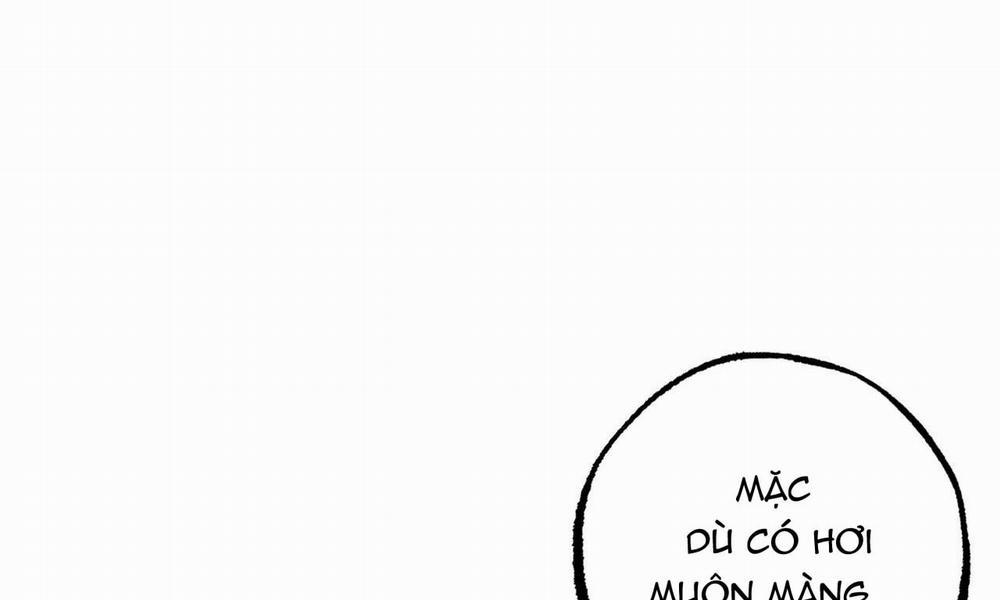 Đàn Thỏ Của Habibi 40 trang 96