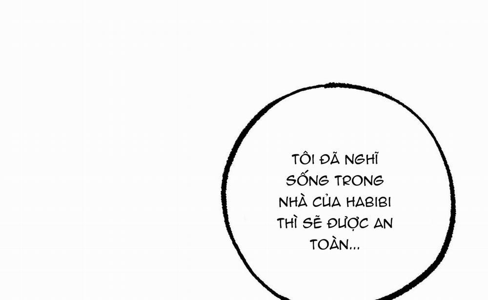 Đàn Thỏ Của Habibi 41 trang 117