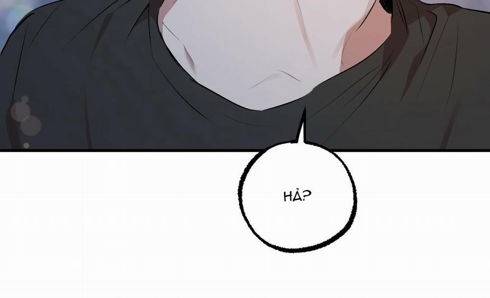 Đàn Thỏ Của Habibi 41 trang 140