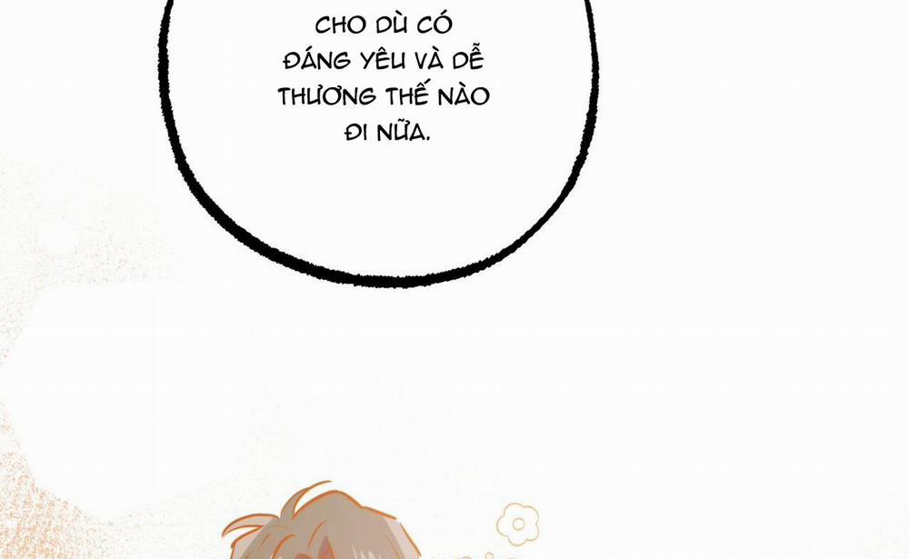 Đàn Thỏ Của Habibi 41 trang 19