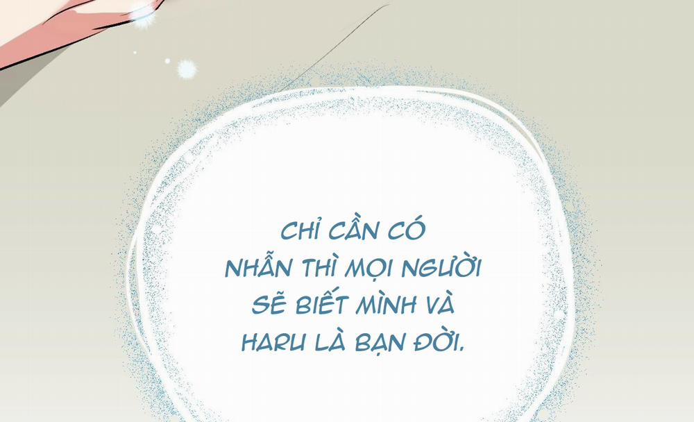 Đàn Thỏ Của Habibi 41 trang 221