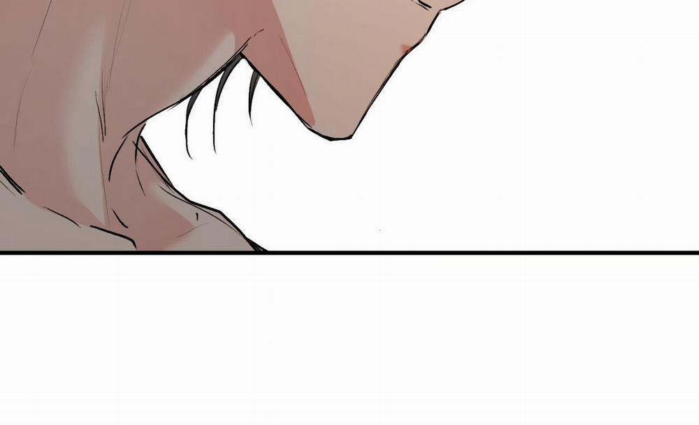 Đàn Thỏ Của Habibi 41 trang 224