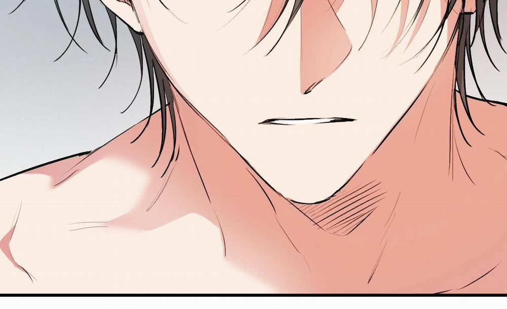 Đàn Thỏ Của Habibi 41 trang 232