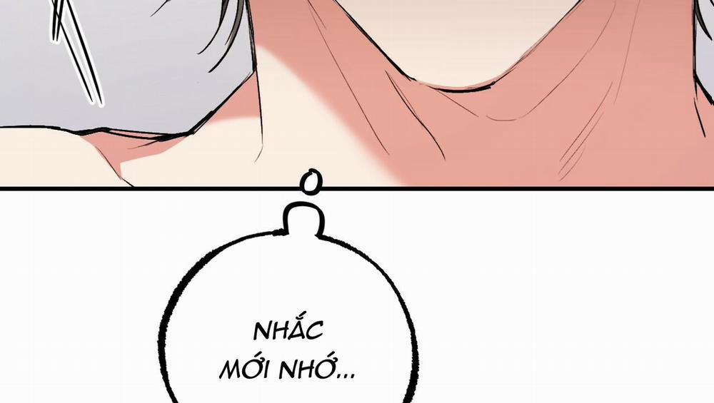 Đàn Thỏ Của Habibi 41 trang 244