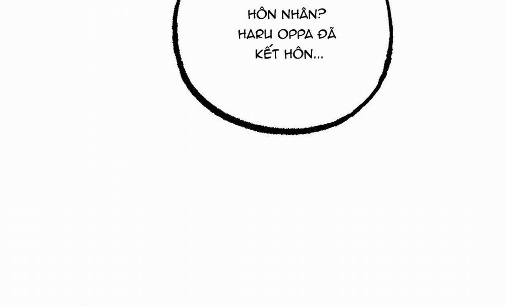 Đàn Thỏ Của Habibi 41 trang 39