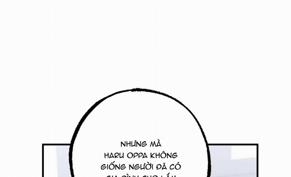 Đàn Thỏ Của Habibi 41 trang 49