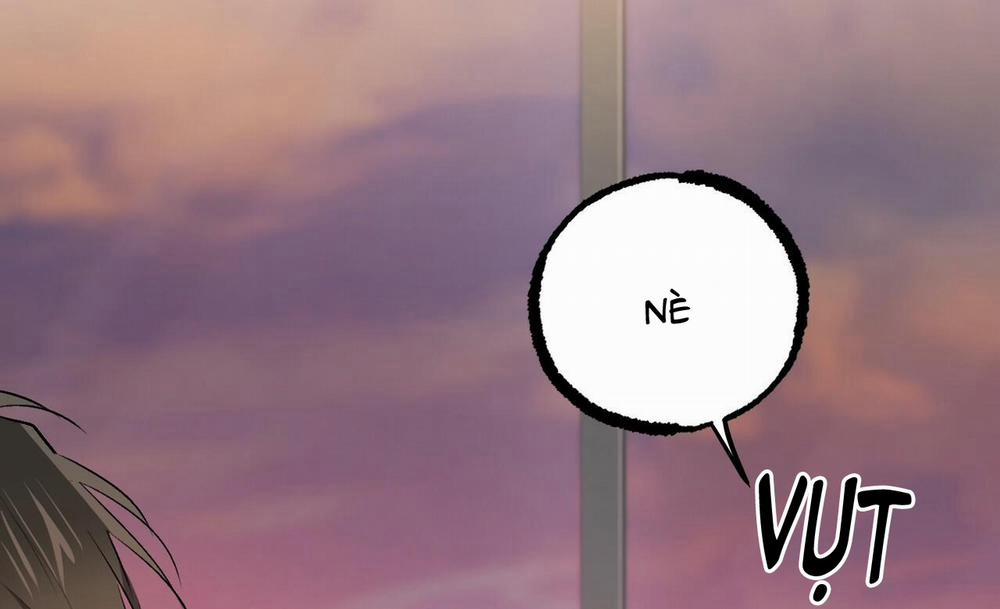 Đàn Thỏ Của Habibi 41 trang 88