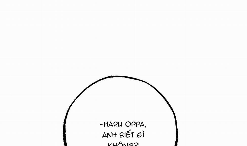 Đàn Thỏ Của Habibi 42 trang 120