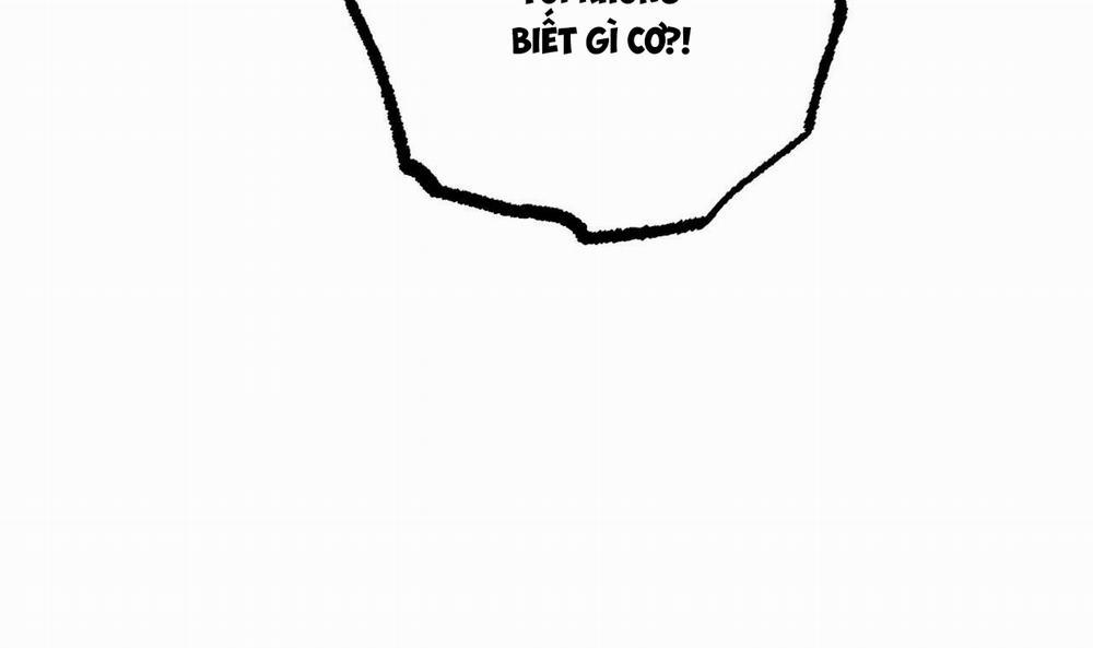 Đàn Thỏ Của Habibi 42 trang 167