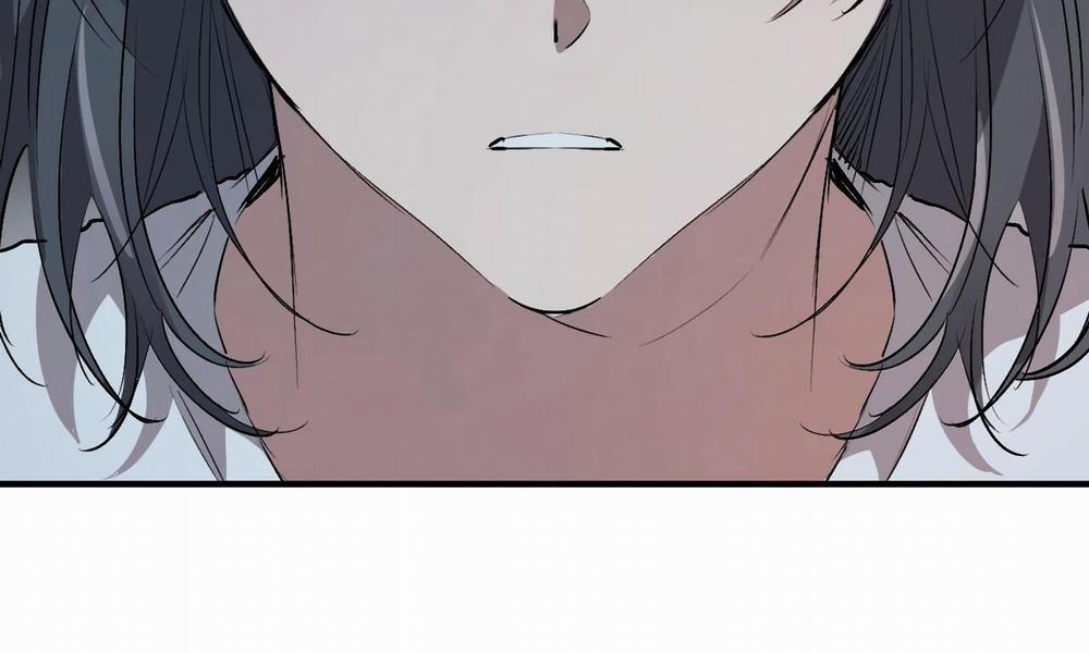 Đàn Thỏ Của Habibi 42 trang 17