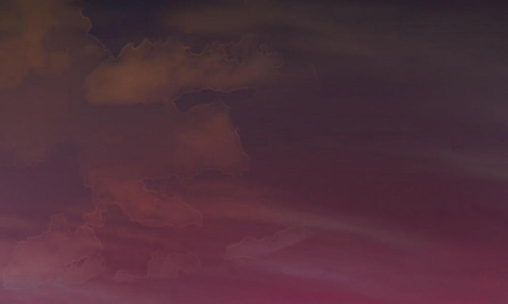 Đàn Thỏ Của Habibi 42 trang 185