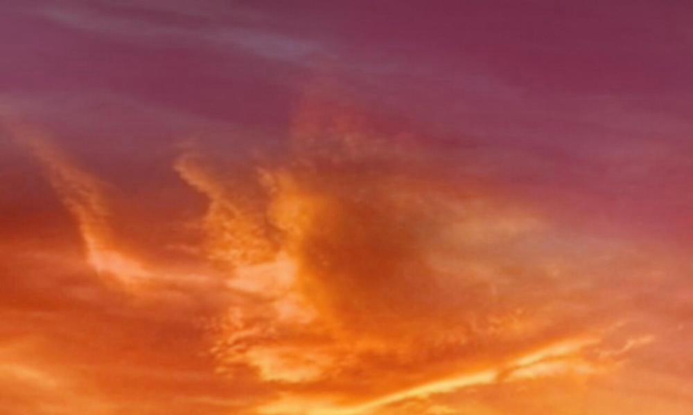 Đàn Thỏ Của Habibi 42 trang 186