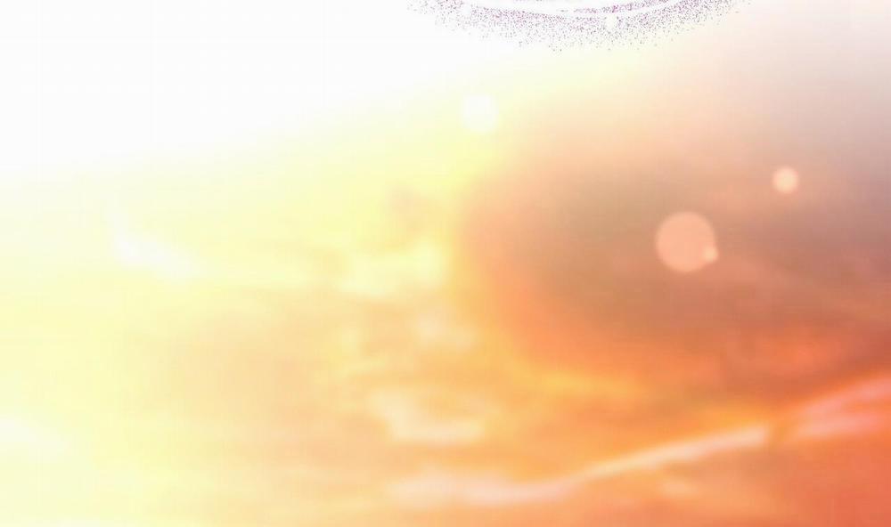 Đàn Thỏ Của Habibi 42 trang 249