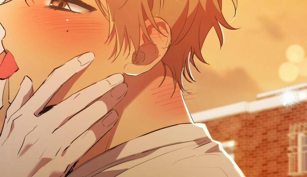 Đàn Thỏ Của Habibi 42 trang 251