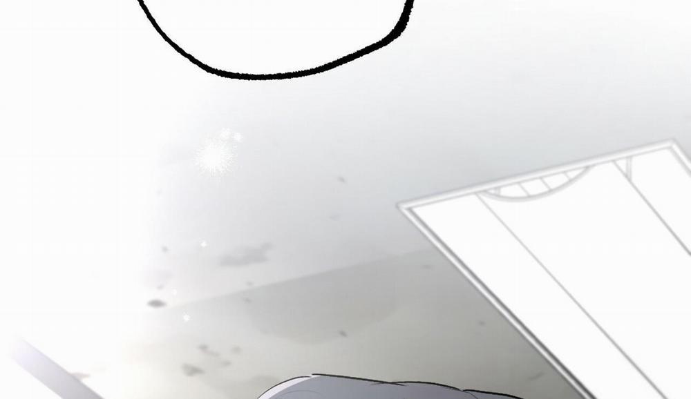 Đàn Thỏ Của Habibi 42 trang 265