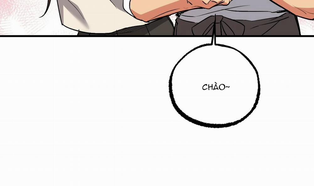 Đàn Thỏ Của Habibi 42 trang 70