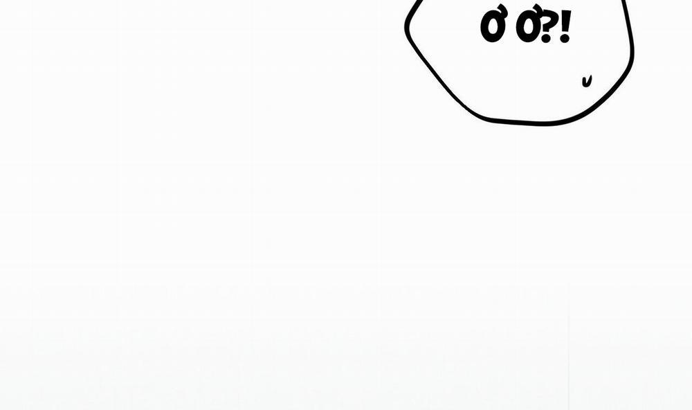 Đàn Thỏ Của Habibi 43 trang 116