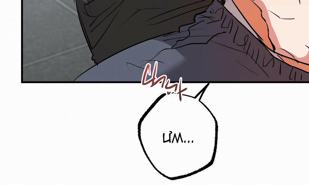 Đàn Thỏ Của Habibi 43 trang 12