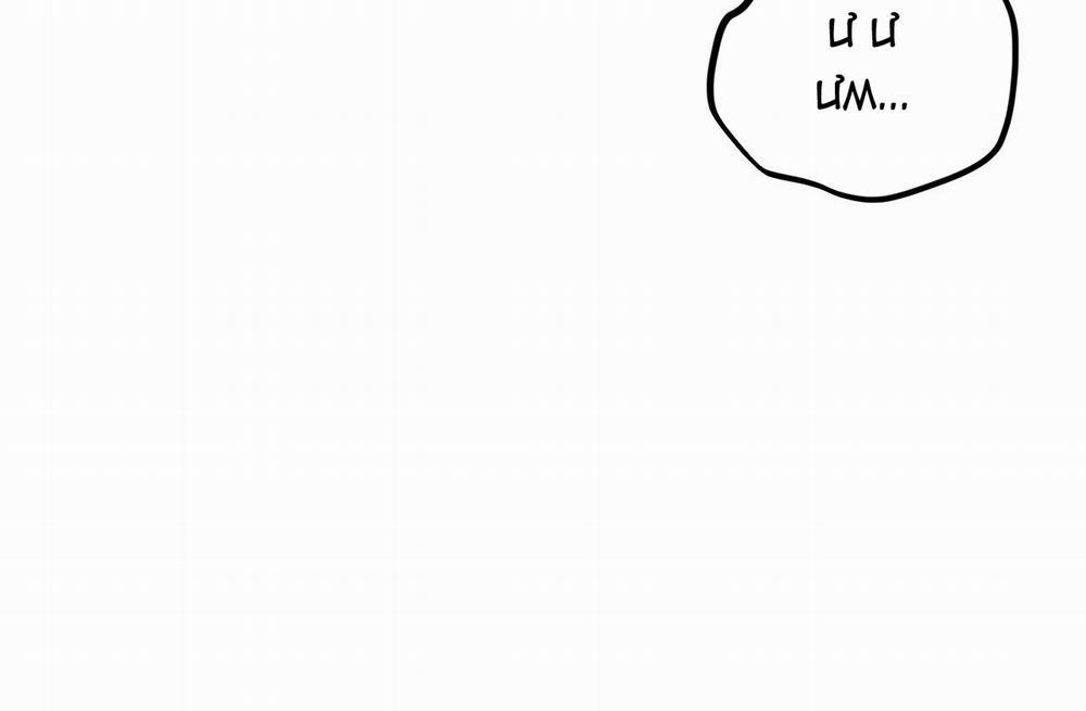 Đàn Thỏ Của Habibi 43 trang 141