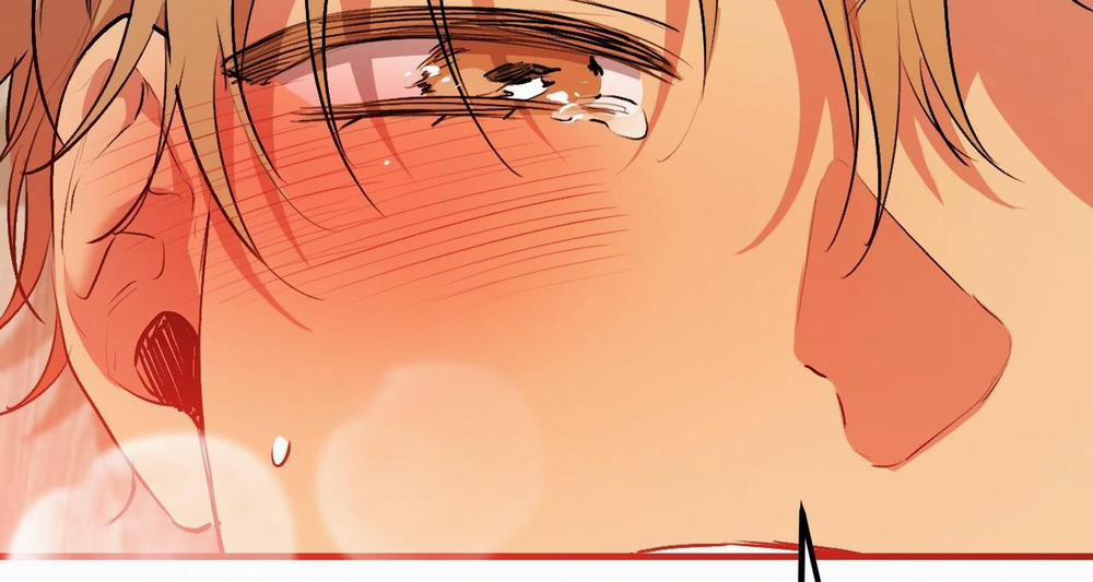 Đàn Thỏ Của Habibi 43 trang 152