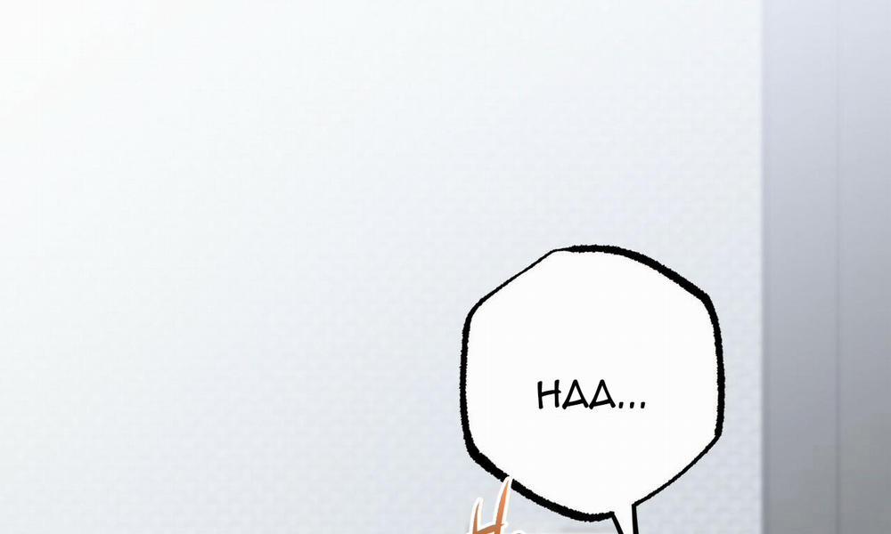 Đàn Thỏ Của Habibi 43 trang 16