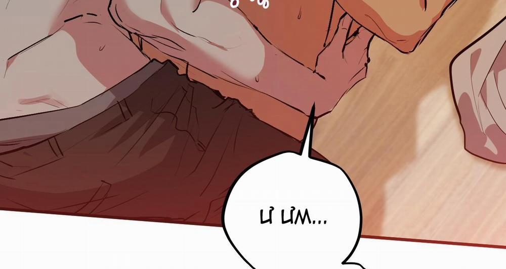 Đàn Thỏ Của Habibi 43 trang 166