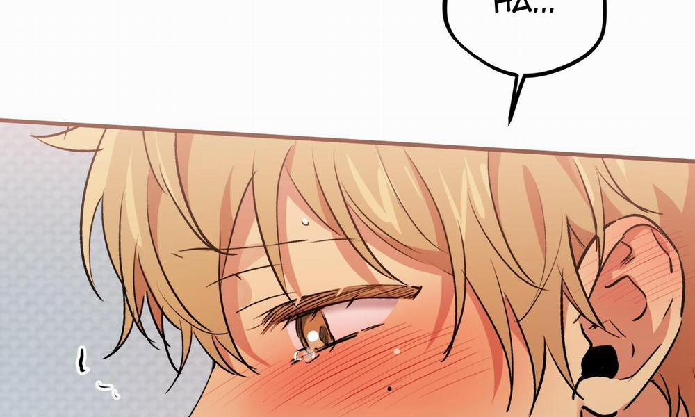 Đàn Thỏ Của Habibi 43 trang 177